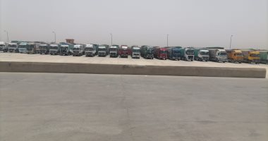 توريد 375 ألف طن من القمح بصوامع المنيا منذ بدء موسم 2025