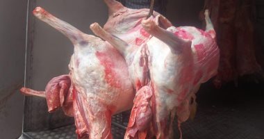 "تموين الإسكندرية" تعلن استعداداتها لاستقبال عيد الأضحى المبارك.. تفاصيل