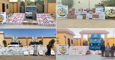 نشاط مكثف لقوات حرس الحدود على كافة الاتجاهات الاستراتيجية للدولة قوات حرس الحدود