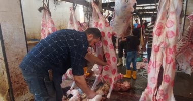 الإسكندرية تستعد بـ3 مجازر حكومية لعيد الأضحى المبارك.. المجزر الآلى بالعامرية بطاقة 1000 رأس غنم / الساعة وثلاجة تجميد 50 طن.. والطب البيطرى: صيانة خطوط الطرد والكشف على العجول أهم الإجراءات "صور" مجزر أبو قير