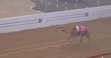 السيف الفضى يشعل مهرجان سباق الهجن "ختامى الوثبة 2025" بأبوظبى.. صور مهرجان سباق الهجن "ختامي الوثبة 2025" بأبوظبي