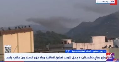 أستاذ علاقات دولية: الاتفاق بين الهند وباكستان محفوف بالمخاطر