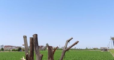 تعرف على حالة الطقس اليوم الإثنين 19-5-2025 فى الإسماعيلية.. فيديو الطقس بالاسماعيلية