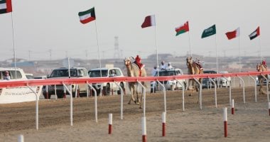 سباقات الهجن فى أبو ظبى تراث أعاد مجده الشيخ زايد قبل 45 عاما.. أقدم رياضة عربية تجمع ملاك الإبل وعشاقها فى "عاصمة الميادين" بالوثبة.. سيارة وسيف ذهبي و5 ملايين لأول الفائزين.. صور جانب من السباق