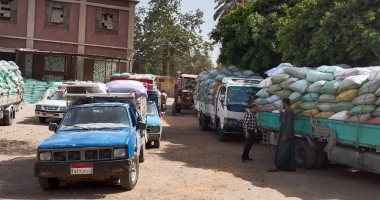 محافظ المنيا: توريد 390 ألف طن من القمح بصوامع المحافظة منذ بدء موسم 2025