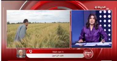 نقيب الزراعيين: زراعة 3.2 مليون فدان قمح بتقاوى جيدة عززت من الإنتاجية مداخلة الدكتور سيد خليفة نقيب الزراعيين