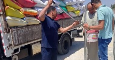 توريد 550870 طن قمح إلى مواقع التخزين بالشرقية