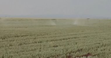 ملايين السوريين فى خطر.. جفاف كارثى يهدد الأمن الغذائى والزراعة