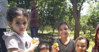 عمار يا مشمش.. موسم الثمرة الذهبية بقرية العمار"راضى الكل".. محافظ القليوبية: المحصول يحظى بإقبال كبير محلياً ودولياً.. وصاحب سويقة: السعر لم نشهده منذ سنوات طويلة مضت.. فيديو وصور بهجة الأطفال بالمشمش