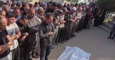 الحلم نيوز : 
                                            الفاتيكان يدعو إلى وقف القصف الإسرائيلي على غزة
                                        