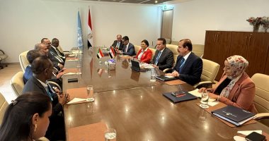 الدكتور خالد عبد الغفار يلتقى وزير الصحة السودانى لبحث أوجه التعاون المشترك جانب من اللقاء