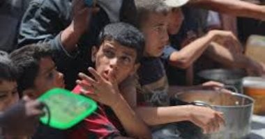 استئناف عمل عدة مخابز فى غزة بعد دخول كميات محدودة من الدقيق غزة - أرشيفية