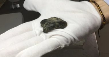 اكتشاف عظام لإنسان منتصب عمرها 140 ألف عام فى إندونيسيا - اليوم السابع