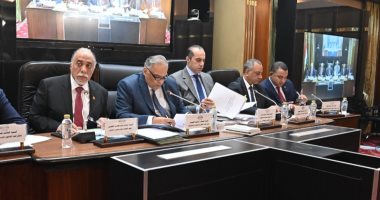 المستشار محمود فوزى: دستور 2014 إنحاز لحق الانتخابات والقيد التلقائى لمن يبلغ السن القانونى