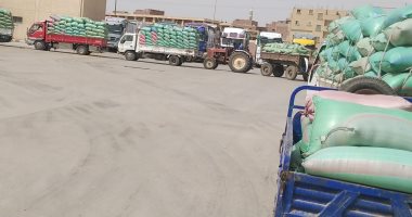 محافظ المنيا: توريد 408 آلاف طن قمح بصوامع المحافظة منذ بدء موسم 2025