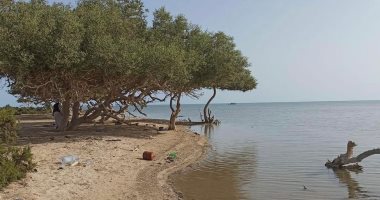 جمال الطبيعة على شواطئ الشلاتين