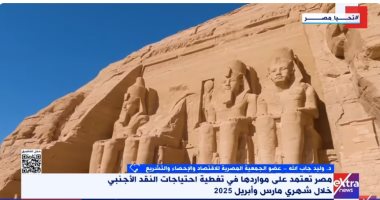 خبير: الاقتصاد المصرى ينتقل لمرحلة تغطية الاحتياجات الدولارية