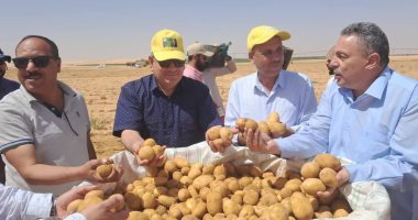 محافظ الوادي الجديد: نجاح تجربة إنتاج تقاوي البطاطس لأول مرة بالمحافظة محافظ الوادي الجديد