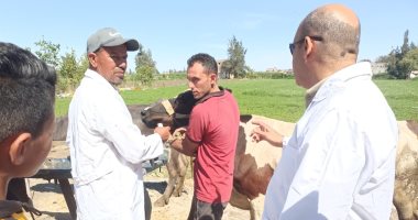 قوافل بيطرية مجانية