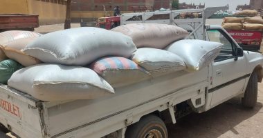 ضبط 6 أطنان قمح مسوس وتحرير 571 محضرا خلال حملات تموينية مكثفة بأسيوط