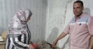 محافظة الجيزة تضبط 25 طن مصنعات لحوم ودواجن فاسدة 25 طن مصنعات لحوم ودواجن فاسدة