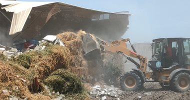 محافظ كفر الشيخ: تنفيذ 14 قرار إزالة على أراضى أملاك الدولة