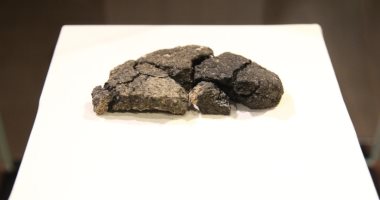 أثريون يعيدون مكونات رغيف خبز عمره 5000 عام اكتشف في تل كولوبا.. ماذا وجدوا؟ رغيف خبز عمره 5000 عام