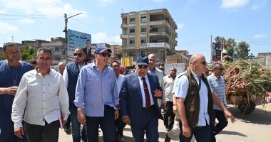 وزير الرى يتفقد المنشآت المائية وأعمال تطهير الترع فى 7 مواقع بالدقهلية خلال الزيارة