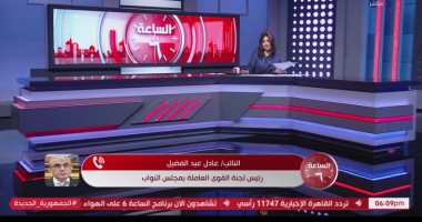 من هم مستحقو العلاوة الدورية وزيادة الأجور؟ النائب عادل عبد الفضيل يوضح النائب عادل عبد الفضيل رئيس لجنة القوى العاملة بمجلس النواب