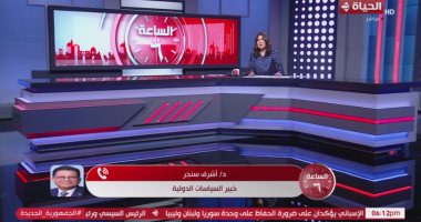 خبير بالسياسات الدولية: الدبلوماسية المصرية نشطة فى كل الاتجاهات