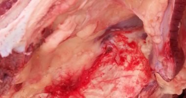 محافظ الفيوم يوجه بتكثيف الحملات الرقابية على المنافذ