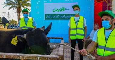 التضامن الاجتماعى تشرف على ذبح 45 عجلا وتوزيعهم بالمجان خلال العيد بأبشواى