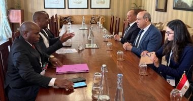 على هامش مشاركته بأسبوع الطيران.. الحفنى: مصر تلتزم بتعزيز التعاون الإقليمي في الصناعة