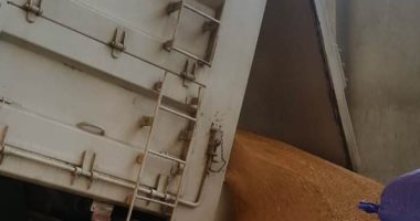 توريد 435 ألف طن من القمح للصوامع بمحافظة أسوان