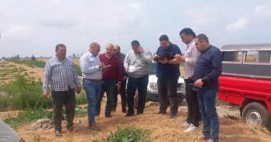 محافظ الدقهلية يكلف لجنة لمعاينة مواقع انشاء المشروعات الاستثمارية على الطبيعة