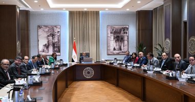 مجلس الوزراء 