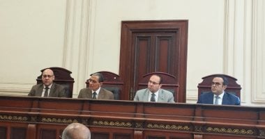 السجن 10 لنجار مسلح قتل شخصا أبلغ عن شقيقه لبيع المخدرات بالإسكندرية هيئة المحكمة برئاسة المستشار عبد الرحمن حافظ رئيس المحكمة