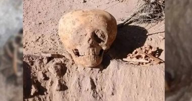 كشف لغز الجمجمة الغامضة فى الأرجنتين.. اعرف الحكاية - اليوم السابع