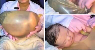 الحلم نيوز : 
                                            عرائس فائقة الواقعية تشعل الجدل فى البرازيل.. والسعر مفاجأة.. صور وفيديو
                                        