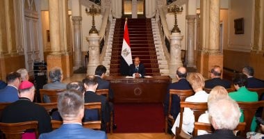 بدر عبد العاطى وزير الخارجية