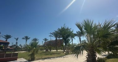 الوضع فى بورسعيد غير إسكندرية.. شمس ساطعة ورياح خفيفة.. فيديووصور الطقس ببورسعيد وسماء صافيه
