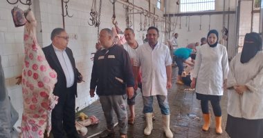 المجازر فى الدقهلية