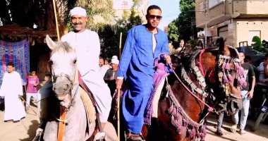 "فخر وعراقة وأصالة التراث الصعيدى".. المرماح أشهر الفنون الشعبية فى قنا.. "أبو الحمد" عميد خيالة يتحدث عن قواعد المشاركة.. تعلم ركوب الخيل منذ 40 عاما.. ويؤكد: اهتم به مثل أبنائي والخيل يعبر عن شخصية الفارس الخيالة فى قنا