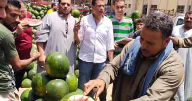 الطبلة دلعت أبو قلب أحمر فى سوق بنها.. شاهد مزاد البطيخ بالقليوبية.. فيديو البطيخ في القليوبية
