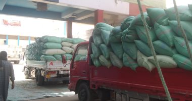 محافظ المنيا: توريد 489 ألف طن قمح منذ بدء موسم 2025 دعمًا للأمن الغذائي  