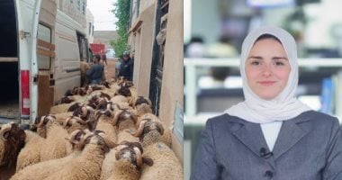 المغرب يحظر ذبح الأضاحى فى عيد الأضحى.. وتليفزيون اليوم السابع يكشف التفاصيل الزميلة جيرمين شلبى مذيعة اليوم السابع