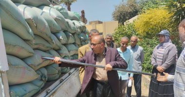 توريد أكثر من 167 ألف طن قمح حتى الآن فى سوهاج