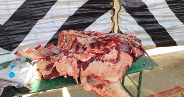 كيلو البلدى الصغير بـ300 جنيه.. زحام على معرض اللحوم المخفضة فى الغربية