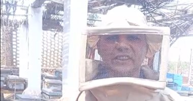 3 علامات هتقولك عسل النحل أصلي ولا مغشوش.. مباشر من منحل محطة البحوث في سخا الدكتور محمد أحمد عبد الفتاح مسئول النحل بمحطة البحوث الزراعية بسخا