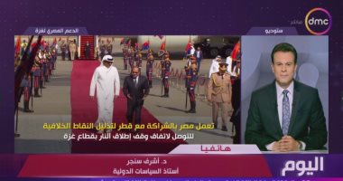 أستاذ سياسات دولية: جهد مضنى للدبلوماسية المصرية لوقف إطلاق النار بغزة جانب من المداخلة